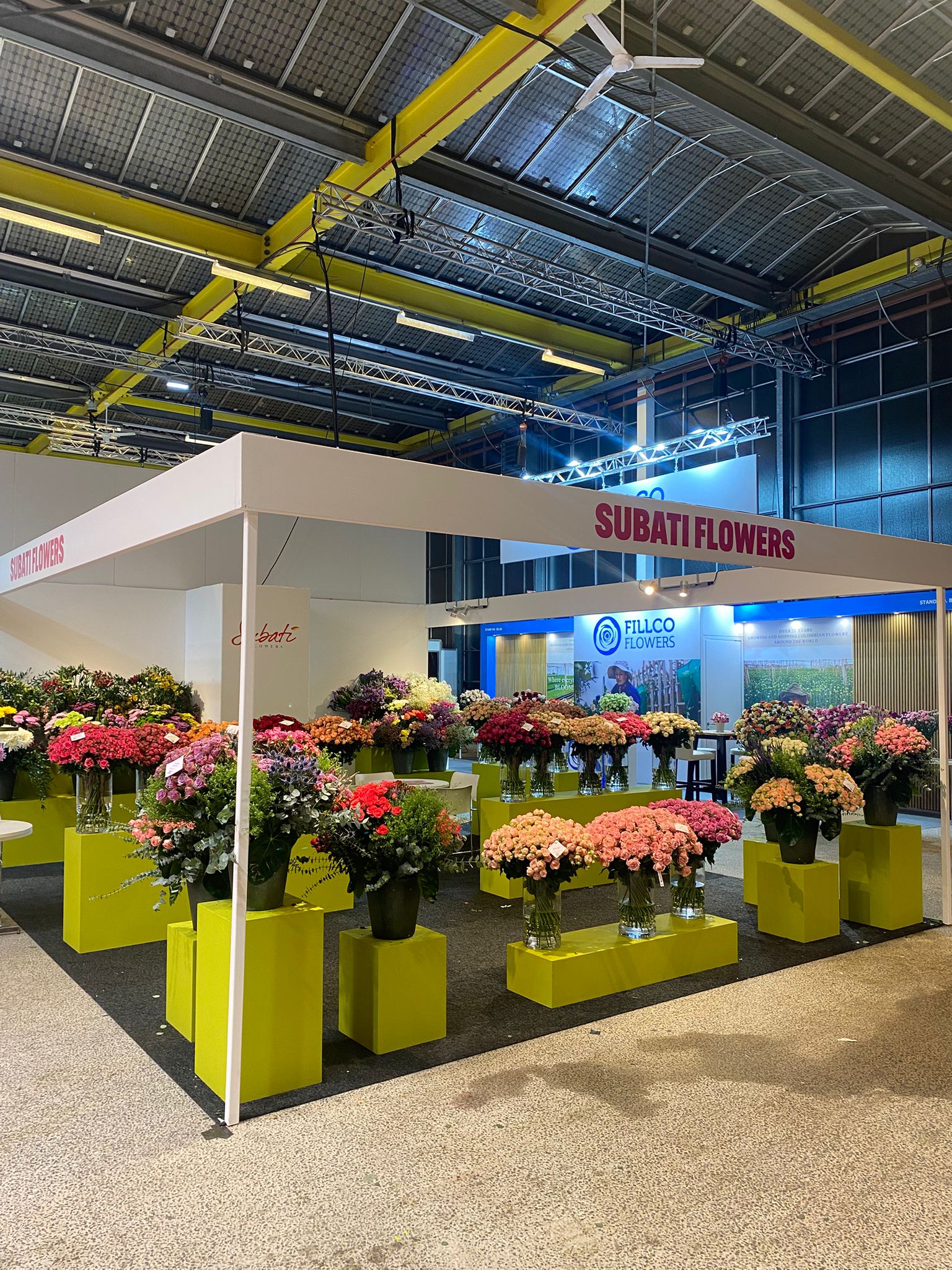 Strakke witte volumes met bloemen op houten vloer